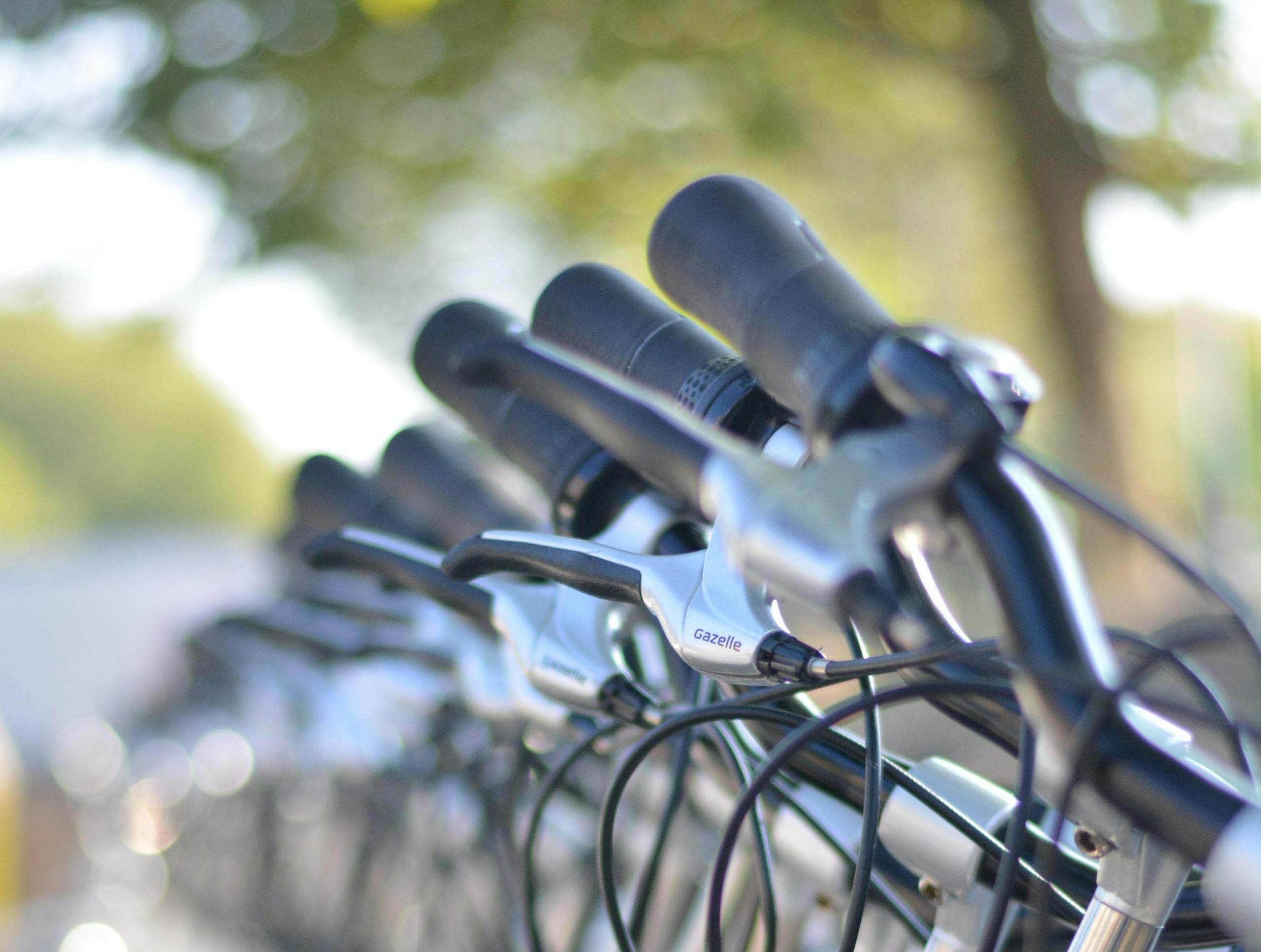 Bike Rack